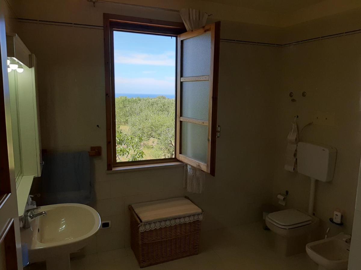 テッラジーニ Casanonnavittoria Bed & Breakfast エクステリア 写真